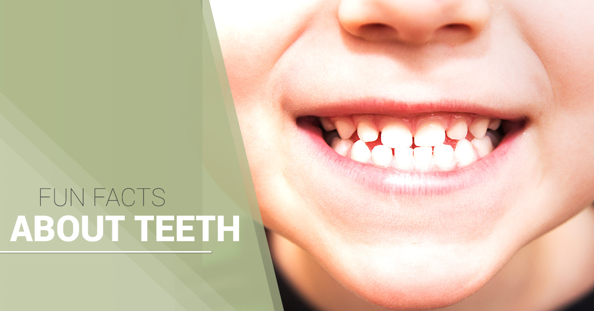 Funfactaboutteeth-5ac2532e17697
