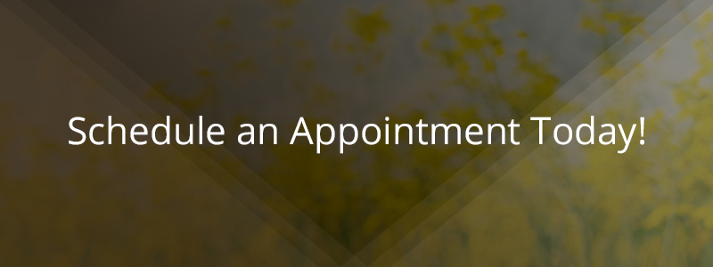 Schedule an Appointment