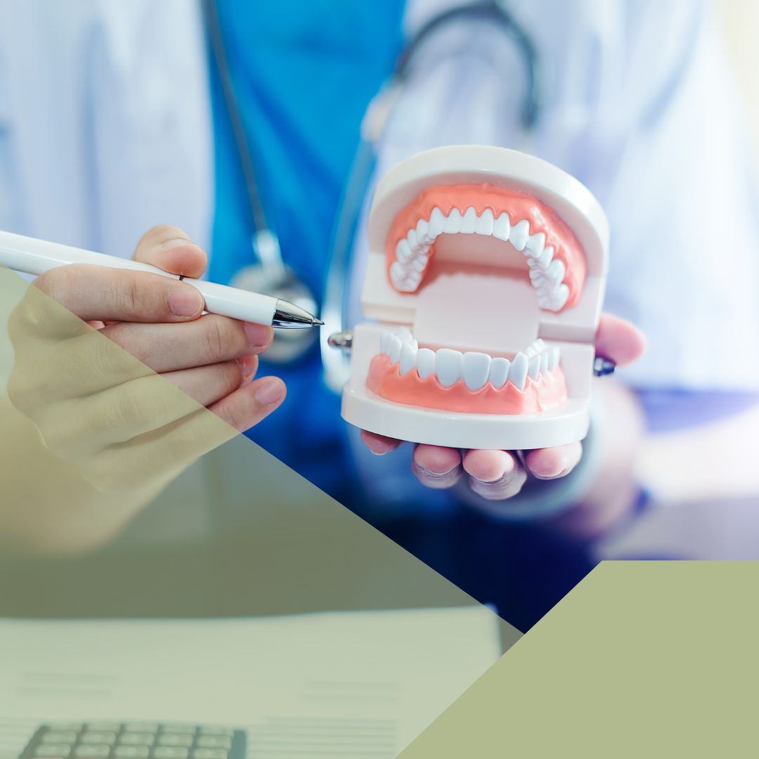 dentist pointing to a dental mold