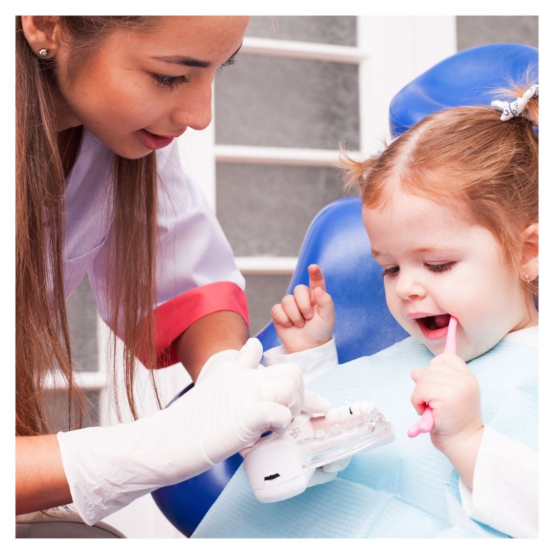 toddler girl learning about teeth at the dentist and holding a tooth brush in her mouth