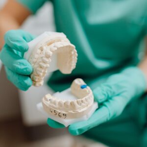 dentist holding a jaw model